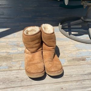 Chestnut standard Uggs
